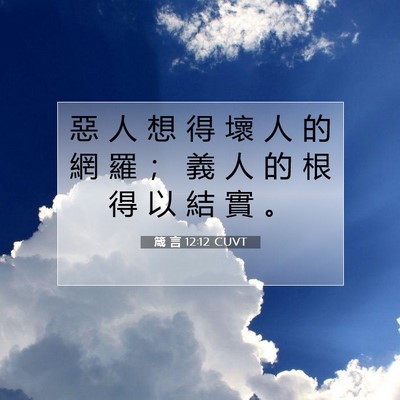 Picture 07 - 箴 言 12:12 CUVT - 惡 人 想 得 壞 人 的 網 羅 ； 義 人 - Bible Verse Picture