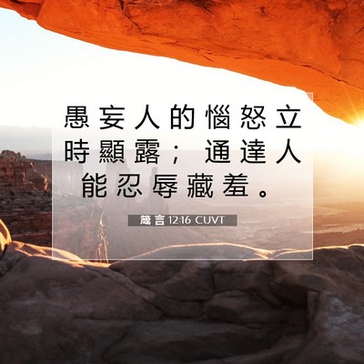 Picture 07 - 箴 言 12:16 CUVT - 愚 妄 人 的 惱 怒 立 時 顯 露 ； 通 - Bible Verse Picture
