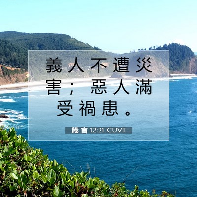 Picture 07 - 箴 言 12:21 CUVT - 義 人 不 遭 災 害 ； 惡 人 滿 受 禍 - Bible Verse Picture