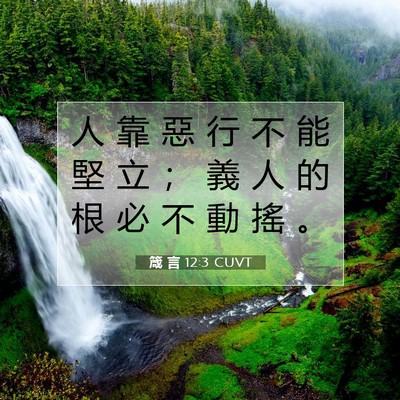 Picture 07 - 箴 言 12:3 CUVT - 人 靠 惡 行 不 能 堅 立 ； 義 人 的 - Bible Verse Picture