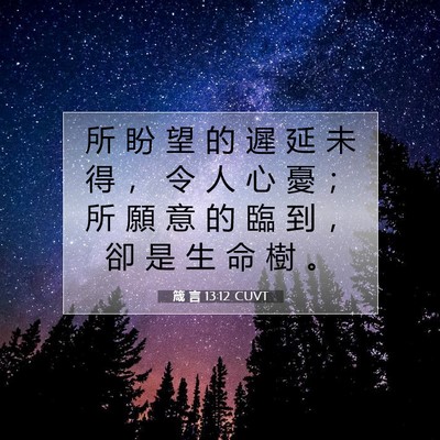 Picture 07 - 箴 言 13:12 CUVT - 所 盼 望 的 遲 延 未 得 ， 令 人 心 - Bible Verse Picture