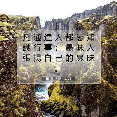 Picture 07 - 箴 言 13:16 CUVT - 凡 通 達 人 都 憑 知 識 行 事 ； 愚 - Bible Verse Picture