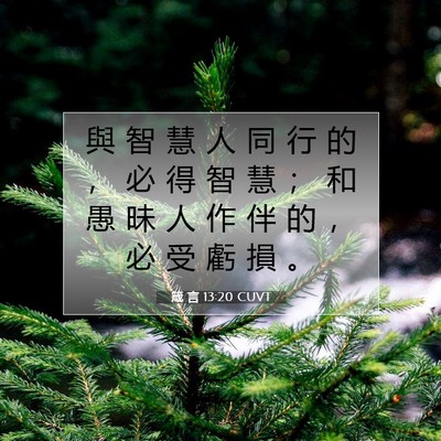 Picture 07 - 箴 言 13:20 CUVT - 與 智 慧 人 同 行 的 ， 必 得 智 慧 - Bible Verse Picture