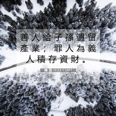 Picture 07 - 箴 言 13:22 CUVT - 善 人 給 子 孫 遺 留 產 業 ； 罪 人 - Bible Verse Picture