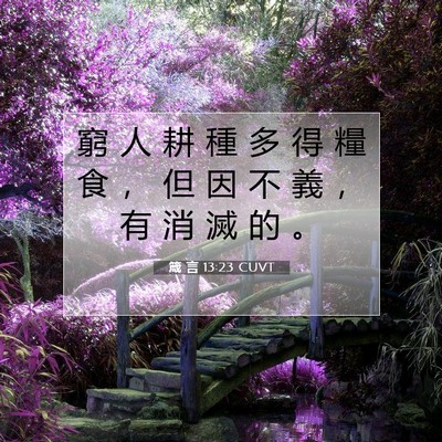 Picture 07 - 箴 言 13:23 CUVT - 窮 人 耕 種 多 得 糧 食 ， 但 因 不 - Bible Verse Picture