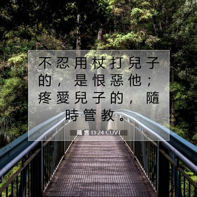 Picture 07 - 箴 言 13:24 CUVT - 不 忍 用 杖 打 兒 子 的 ， 是 恨 惡 - Bible Verse Picture