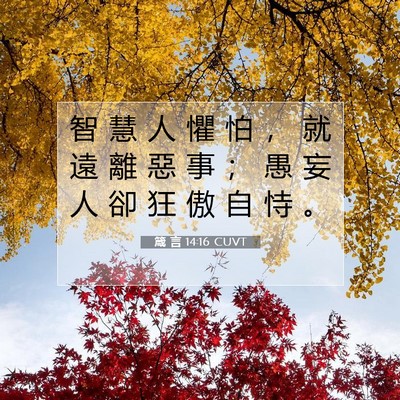 Picture 07 - 箴 言 14:16 CUVT - 智 慧 人 懼 怕 ， 就 遠 離 惡 事 ； - Bible Verse Picture