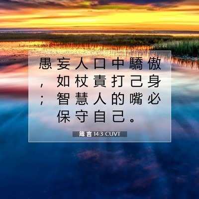 Picture 07 - 箴 言 14:3 CUVT - 愚 妄 人 口 中 驕 傲 ， 如 杖 責 打 - Bible Verse Picture