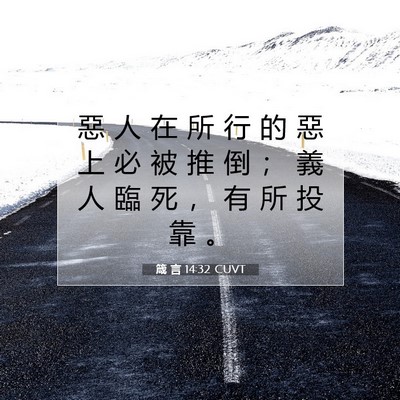 Picture 07 - 箴 言 14:32 CUVT - 惡 人 在 所 行 的 惡 上 必 被 推 倒 - Bible Verse Picture