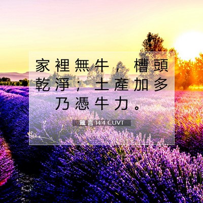 Picture 07 - 箴 言 14:4 CUVT - 家 裡 無 牛 ， 槽 頭 乾 淨 ； 土 產 - Bible Verse Picture
