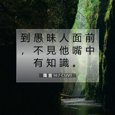 Picture 07 - 箴 言 14:7 CUVT - 到 愚 昧 人 面 前 ， 不 見 他 嘴 中 - Bible Verse Picture