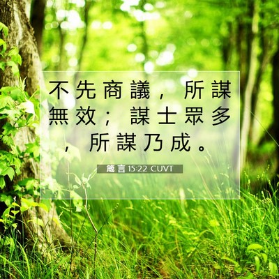 Picture 07 - 箴 言 15:22 CUVT - 不 先 商 議 ， 所 謀 無 效 ； 謀 士 - Bible Verse Picture