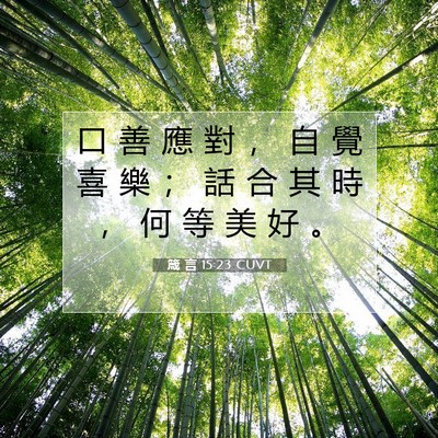 Picture 07 - 箴 言 15:23 CUVT - 口 善 應 對 ， 自 覺 喜 樂 ； 話 合 - Bible Verse Picture