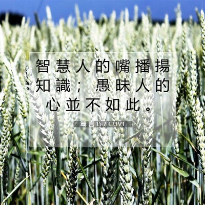 Picture 07 - 箴 言 15:7 CUVT - 智 慧 人 的 嘴 播 揚 知 識 ； 愚 昧 - Bible Verse Picture