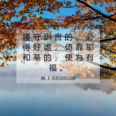 Picture 07 - 箴 言 16:20 CUVT - 謹 守 訓 言 的 ， 必 得 好 處 ； 倚 - Bible Verse Picture