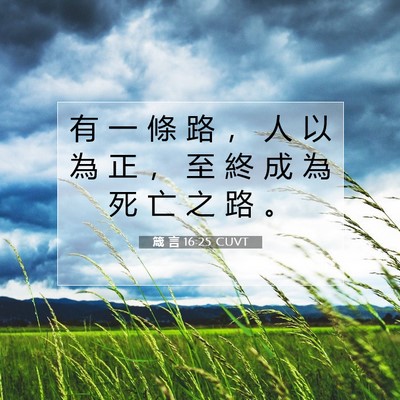 Picture 07 - 箴 言 16:25 CUVT - 有 一 條 路 ， 人 以 為 正 ， 至 終 - Bible Verse Picture