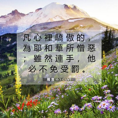 Picture 07 - 箴 言 16:5 CUVT - 凡 心 裡 驕 傲 的 ， 為 耶 和 華 所 - Bible Verse Picture