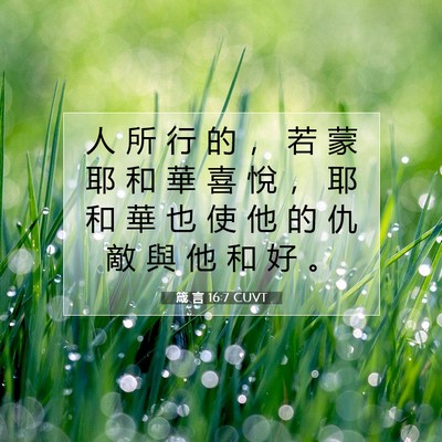 Picture 07 - 箴 言 16:7 CUVT - 人 所 行 的 ， 若 蒙 耶 和 華 喜 悅 - Bible Verse Picture
