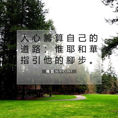 Picture 07 - 箴 言 16:9 CUVT - 人 心 籌 算 自 己 的 道 路 ； 惟 耶 - Bible Verse Picture