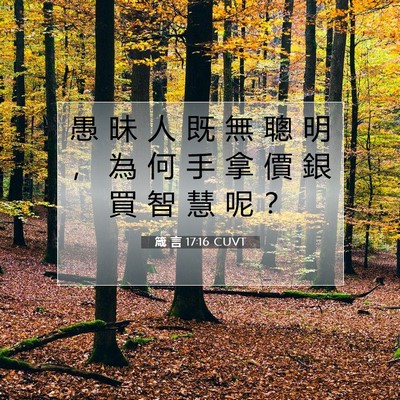 Picture 07 - 箴 言 17:16 CUVT - 愚 昧 人 既 無 聰 明 ， 為 何 手 拿 - Bible Verse Picture