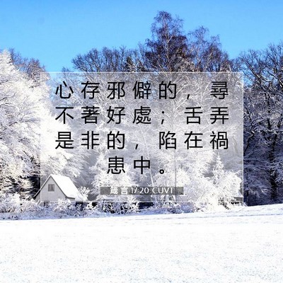 Picture 07 - 箴 言 17:20 CUVT - 心 存 邪 僻 的 ， 尋 不 著 好 處 ； - Bible Verse Picture