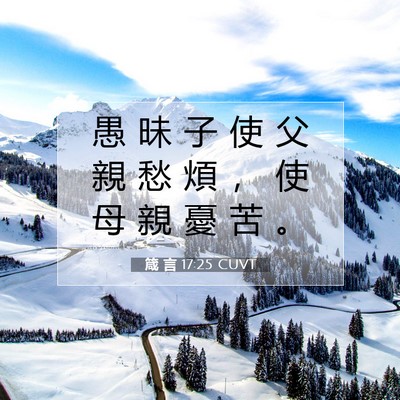 Picture 07 - 箴 言 17:25 CUVT - 愚 昧 子 使 父 親 愁 煩 ， 使 母 親 - Bible Verse Picture
