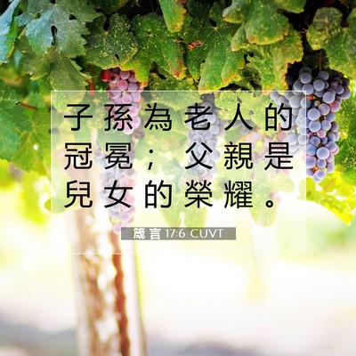 Picture 07 - 箴 言 17:6 CUVT - 子 孫 為 老 人 的 冠 冕 ； 父 親 是 - Bible Verse Picture