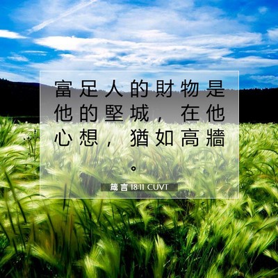 Picture 07 - 箴 言 18:11 CUVT - 富 足 人 的 財 物 是 他 的 堅 城 ， - Bible Verse Picture