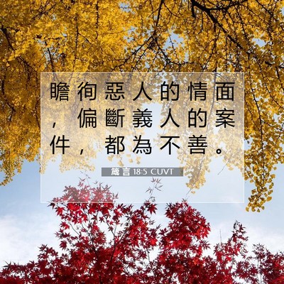 Picture 07 - 箴 言 18:5 CUVT - 瞻 徇 惡 人 的 情 面 ， 偏 斷 義 人 - Bible Verse Picture