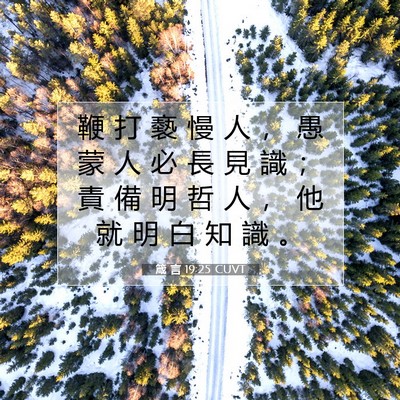 Picture 07 - 箴 言 19:25 CUVT - 鞭 打 褻 慢 人 ， 愚 蒙 人 必 長 見 - Bible Verse Picture