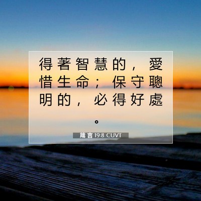 Picture 07 - 箴 言 19:8 CUVT - 得 著 智 慧 的 ， 愛 惜 生 命 ； 保 - Bible Verse Picture