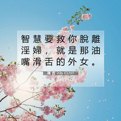 Picture 07 - 箴 言 2:16 CUVT - 智 慧 要 救 你 脫 離 淫 婦 ， 就 是 - Bible Verse Picture