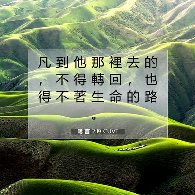 Picture 07 - 箴 言 2:19 CUVT - 凡 到 他 那 裡 去 的 ， 不 得 轉 回 - Bible Verse Picture