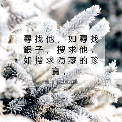 Picture 07 - 箴 言 2:4 CUVT - 尋 找 他 ， 如 尋 找 銀 子 ， 搜 求 - Bible Verse Picture