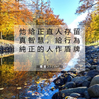 Picture 07 - 箴 言 2:7 CUVT - 他 給 正 直 人 存 留 真 智 慧 ， 給 - Bible Verse Picture