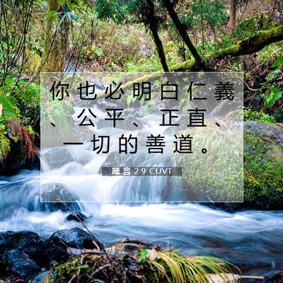 Picture 07 - 箴 言 2:9 CUVT - 你 也 必 明 白 仁 義 、 公 平 、 正 - Bible Verse Picture