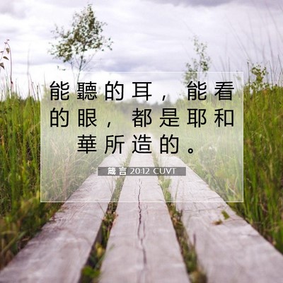 Picture 07 - 箴 言 20:12 CUVT - 能 聽 的 耳 ， 能 看 的 眼 ， 都 是 - Bible Verse Picture
