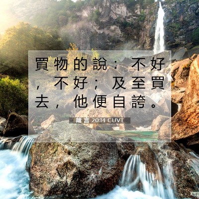 Picture 07 - 箴 言 20:14 CUVT - 買 物 的 說 ： 不 好 ， 不 好 ； 及 - Bible Verse Picture