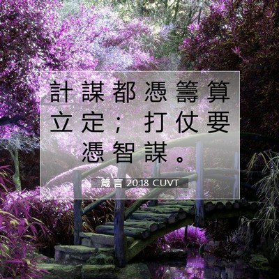 Picture 07 - 箴 言 20:18 CUVT - 計 謀 都 憑 籌 算 立 定 ； 打 仗 要 - Bible Verse Picture