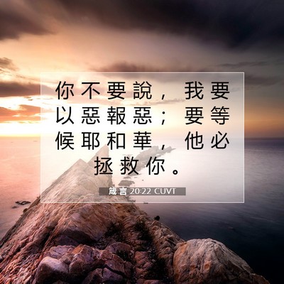 Picture 07 - 箴 言 20:22 CUVT - 你 不 要 說 ， 我 要 以 惡 報 惡 ； - Bible Verse Picture