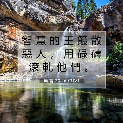 Picture 07 - 箴 言 20:26 CUVT - 智 慧 的 王 簸 散 惡 人 ， 用 碌 碡 - Bible Verse Picture