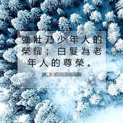 Picture 07 - 箴 言 20:29 CUVT - 強 壯 乃 少 年 人 的 榮 耀 ； 白 髮 - Bible Verse Picture