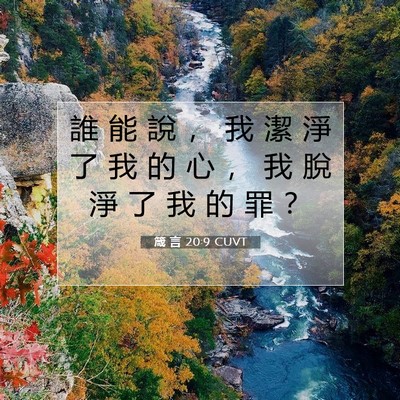 Picture 07 - 箴 言 20:9 CUVT - 誰 能 說 ， 我 潔 淨 了 我 的 心 ， - Bible Verse Picture