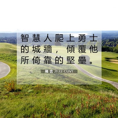 Picture 07 - 箴 言 21:22 CUVT - 智 慧 人 爬 上 勇 士 的 城 牆 ， 傾 - Bible Verse Picture