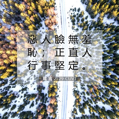 Picture 07 - 箴 言 21:29 CUVT - 惡 人 臉 無 羞 恥 ； 正 直 人 行 事 - Bible Verse Picture