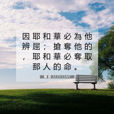 Picture 07 - 箴 言 22:23 CUVT - 因 耶 和 華 必 為 他 辨 屈 ； 搶 奪 - Bible Verse Picture