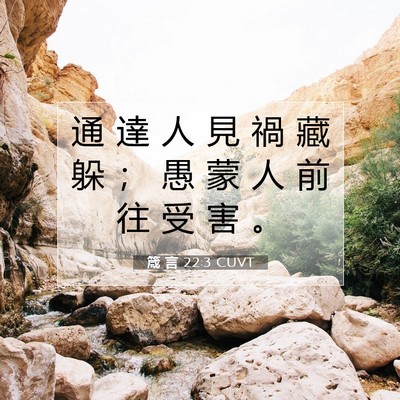 Picture 07 - 箴 言 22:3 CUVT - 通 達 人 見 禍 藏 躲 ； 愚 蒙 人 前 - Bible Verse Picture