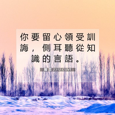 Picture 07 - 箴 言 23:12 CUVT - 你 要 留 心 領 受 訓 誨 ， 側 耳 聽 - Bible Verse Picture