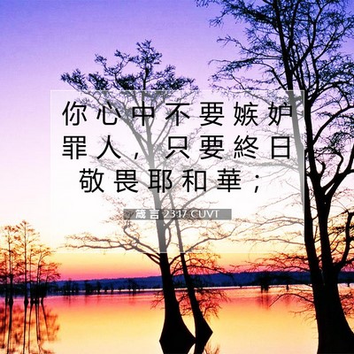 Picture 07 - 箴 言 23:17 CUVT - 你 心 中 不 要 嫉 妒 罪 人 ， 只 要 - Bible Verse Picture