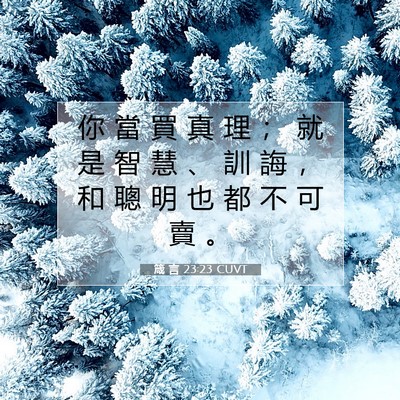 Picture 07 - 箴 言 23:23 CUVT - 你 當 買 真 理 ； 就 是 智 慧 、 訓 - Bible Verse Picture